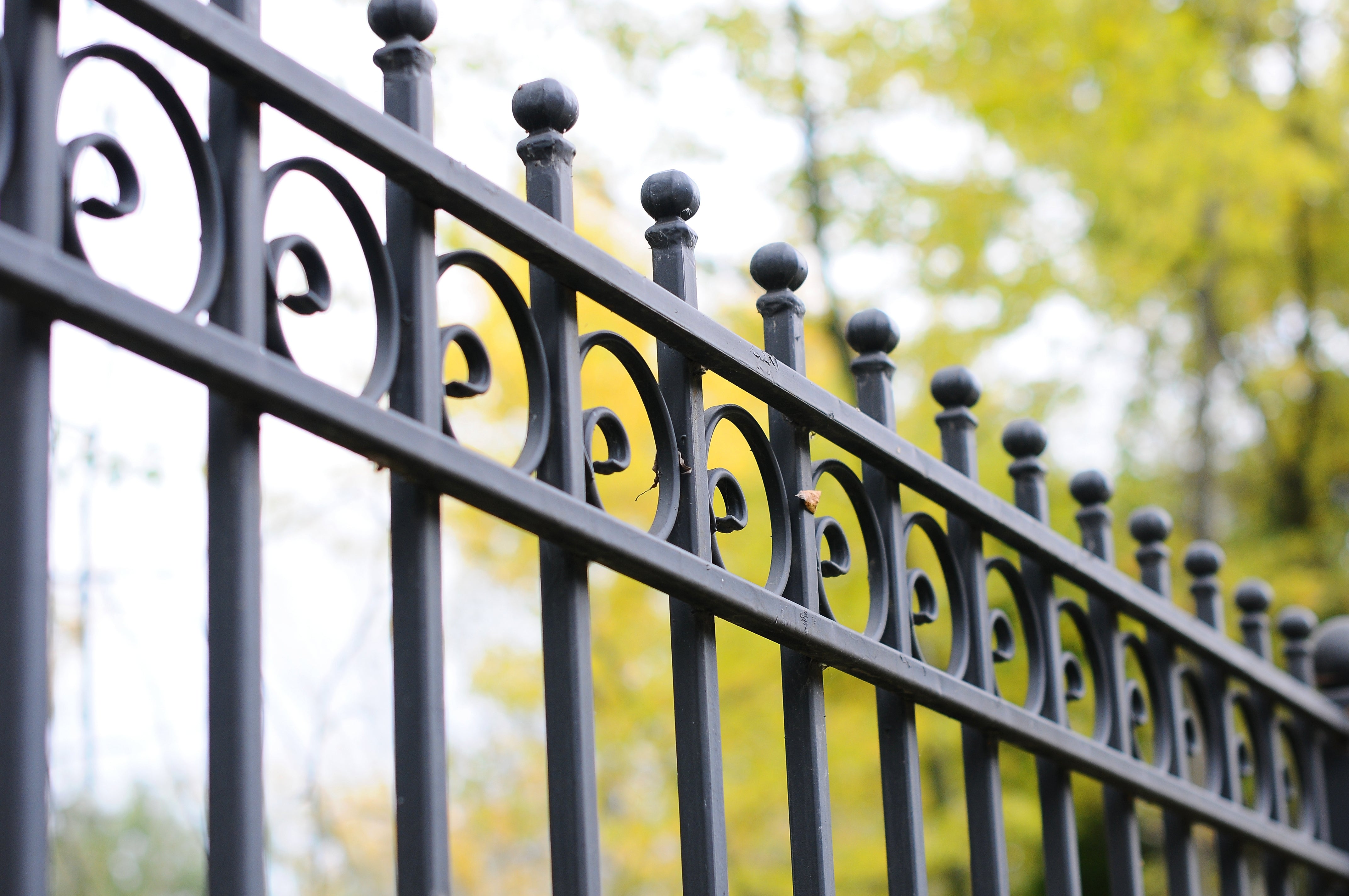 Metal Gate & Railing Paint image 2