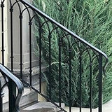 Metal Gate & Railing Paint image 4