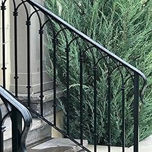 Metal Gate & Railing Paint image 4