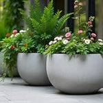 Garden Paint image 11