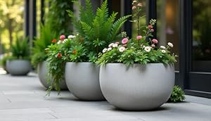 Garden Paint image 11