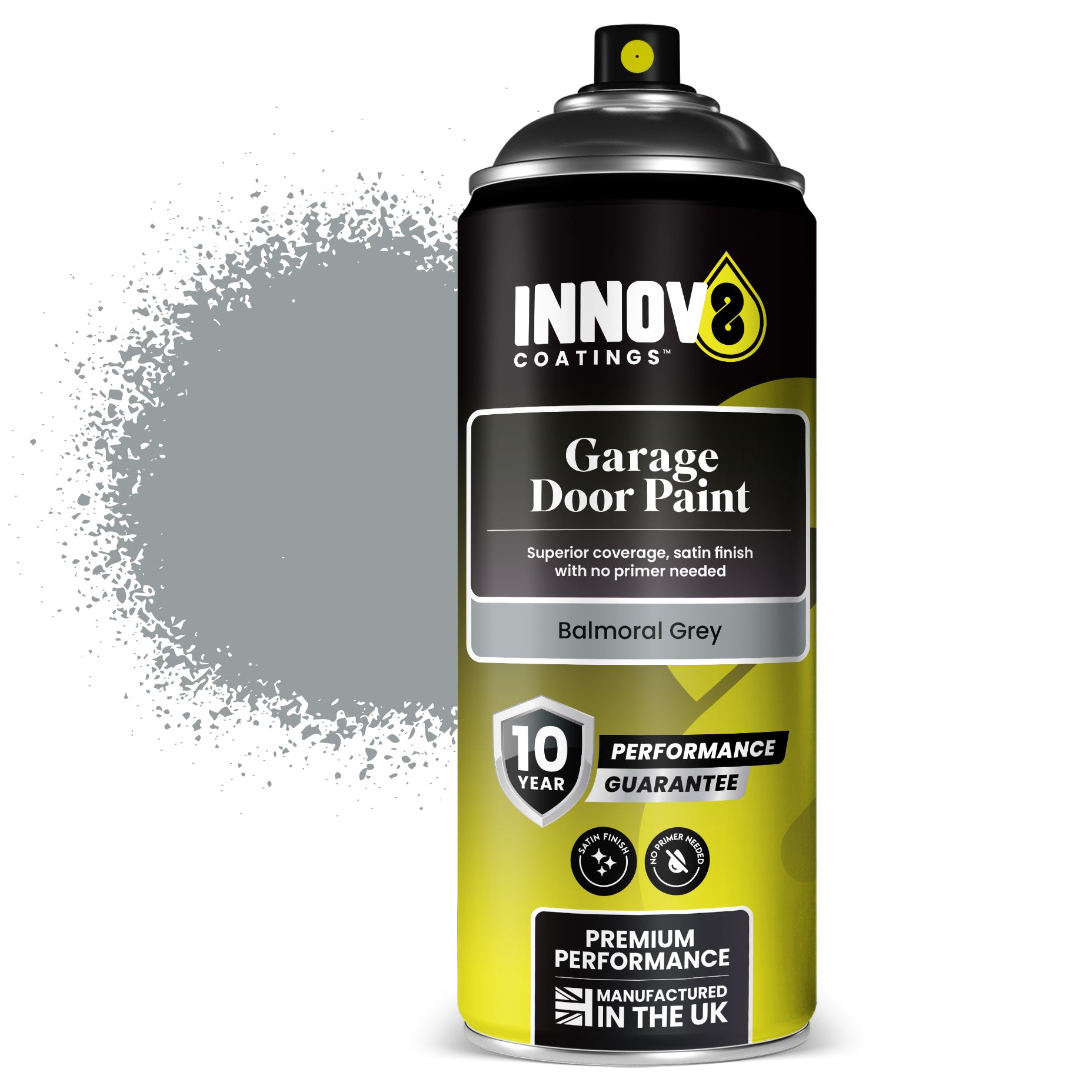 Garage Door Spray Paint image 7
